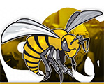 Alabama State - FCS